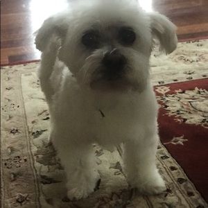 Meet your Posher, Luke